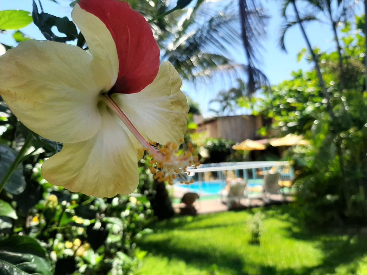Pousada Palhocinha Garopaba Esterno foto